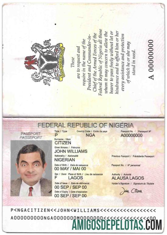 Passaporte da Nigéria (2007 2019) exemplo real